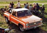 Chevrolet C10 Stepside 1976 года